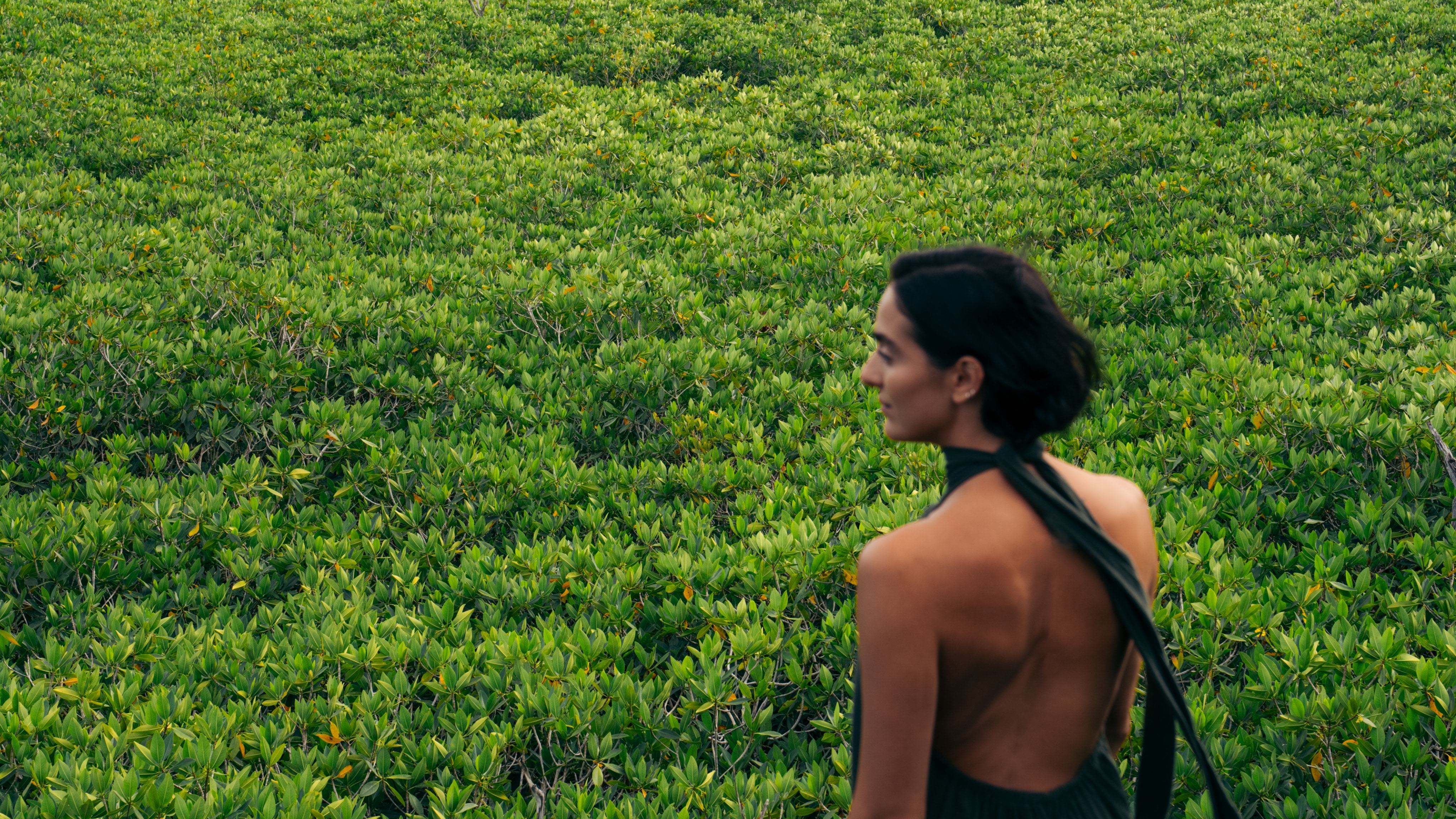 A woman wearing an emerald green halter top backless dress surrounded by mangroves at Mandarin Oriental Resort in Kanai.