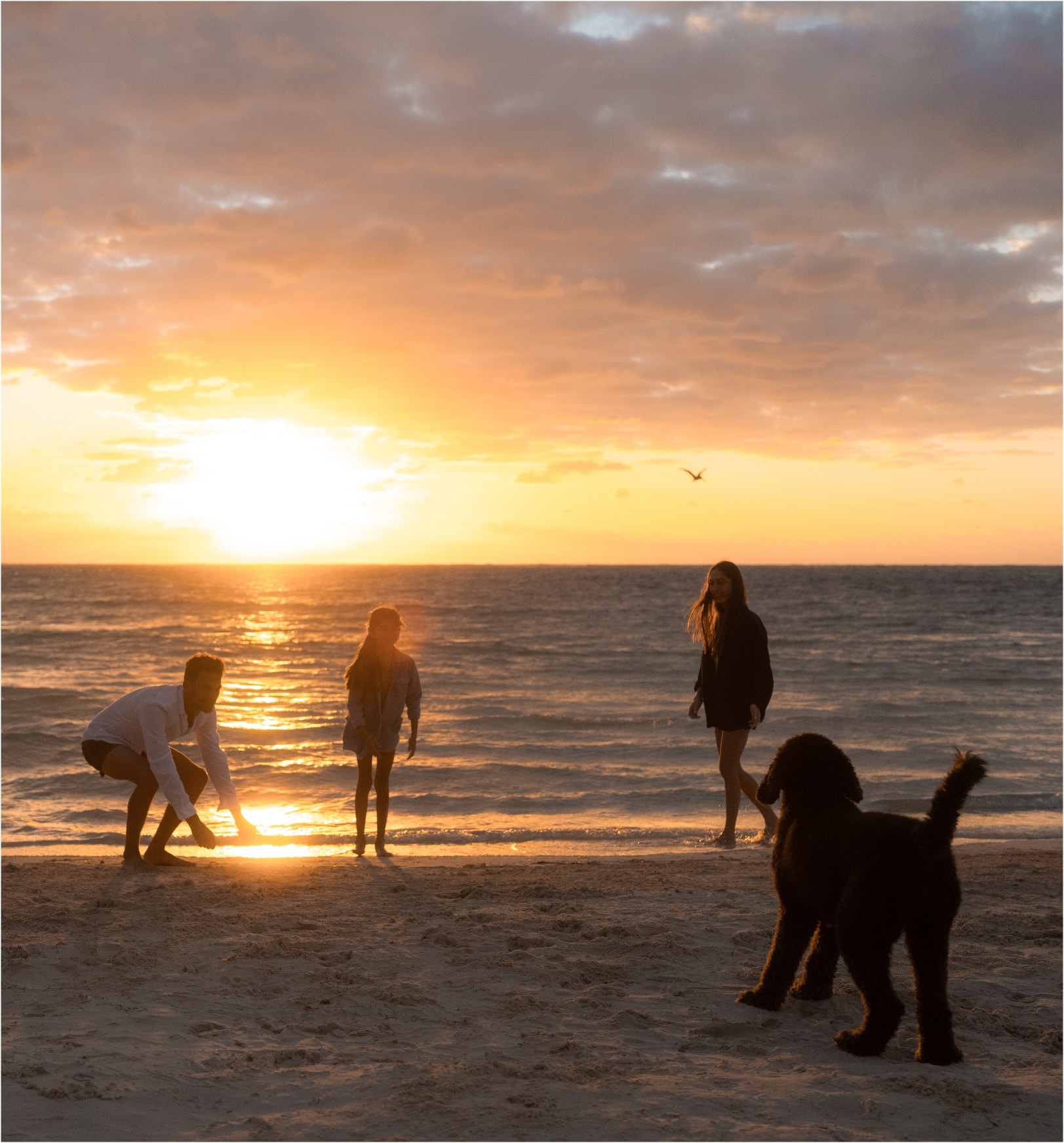 A family and their dog enjoying a sunset on the beach at Mandarin Oriental Resort Kanai, on Mexico's Yucatan peninsula.
