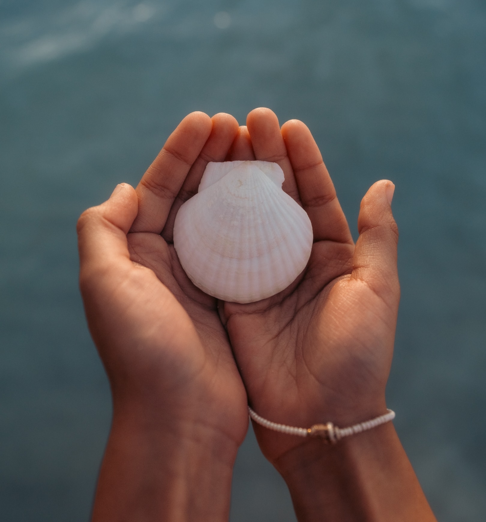 A pristine white scallop shell being held between two hands cupped together at Mandarin Oriental Residences in Kanai.