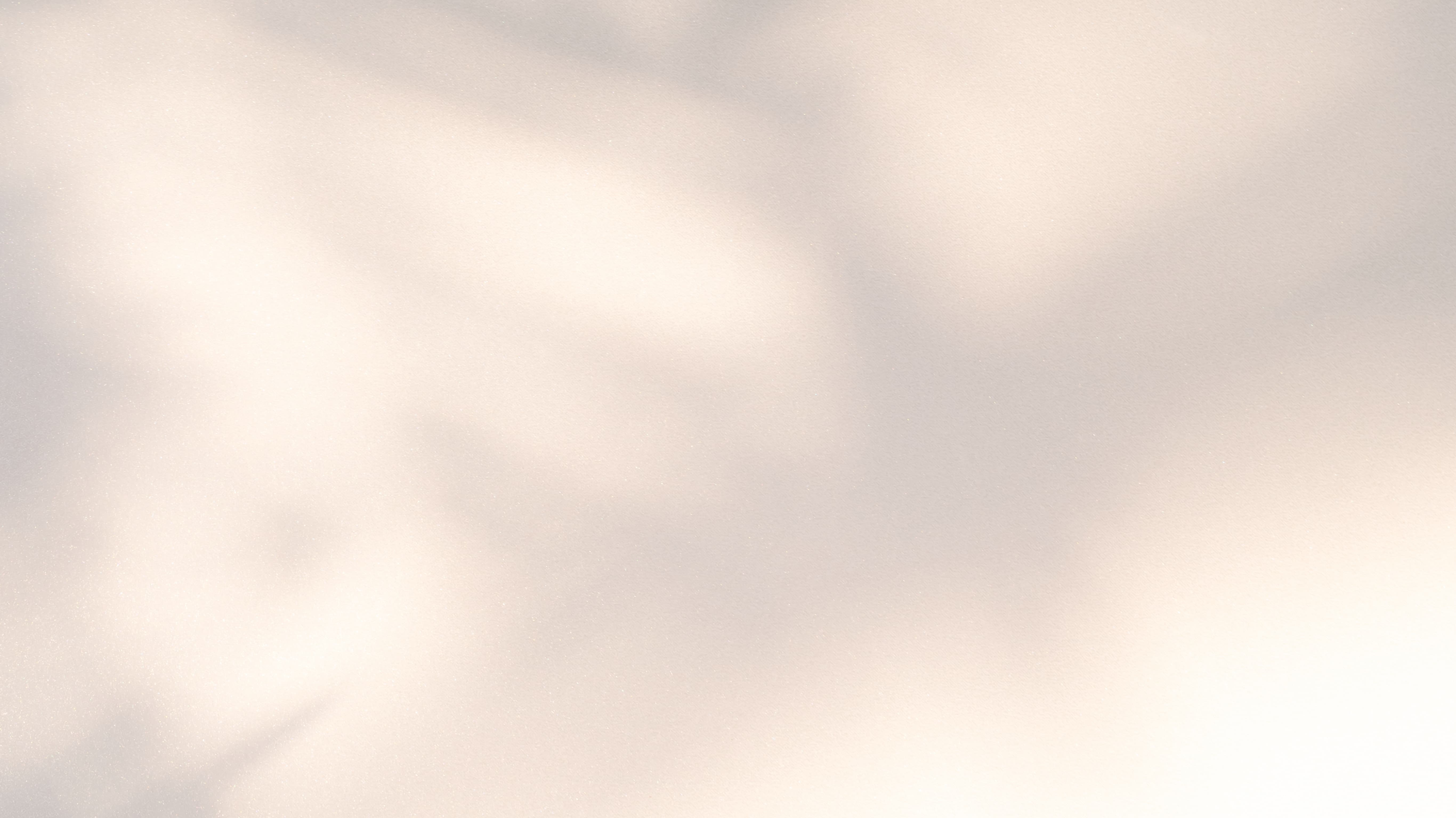 Background with dappled light pattern and tree branch shadows on a white surface.