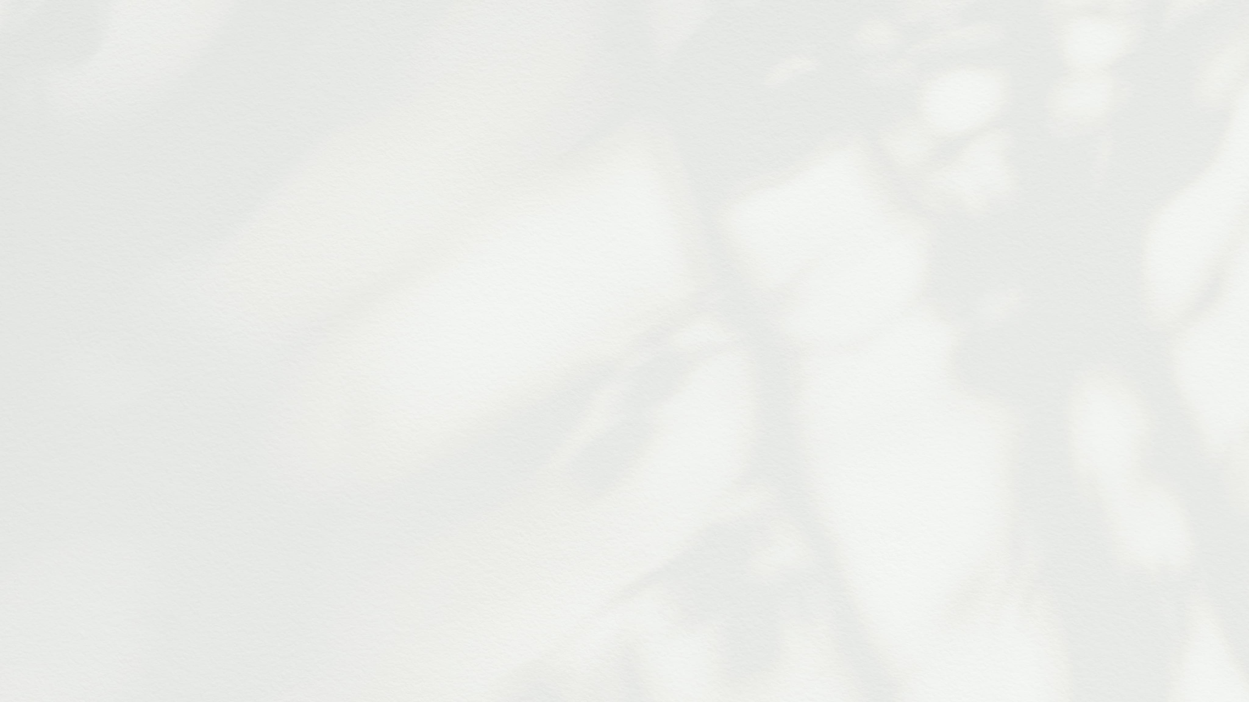 Background with dappled light pattern and tree branch shadows on a white surface.